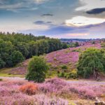 Grootste Provincie van Nederland?