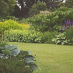 Een huis met een tuin kopen? Overweeg deze aspecten!