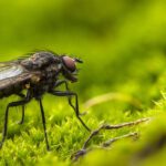 Horren plaatsen voor een schoon binnenklimaat