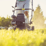Tuin verkoopklaar: zo maak je buitenruimte onweerstaanbaar